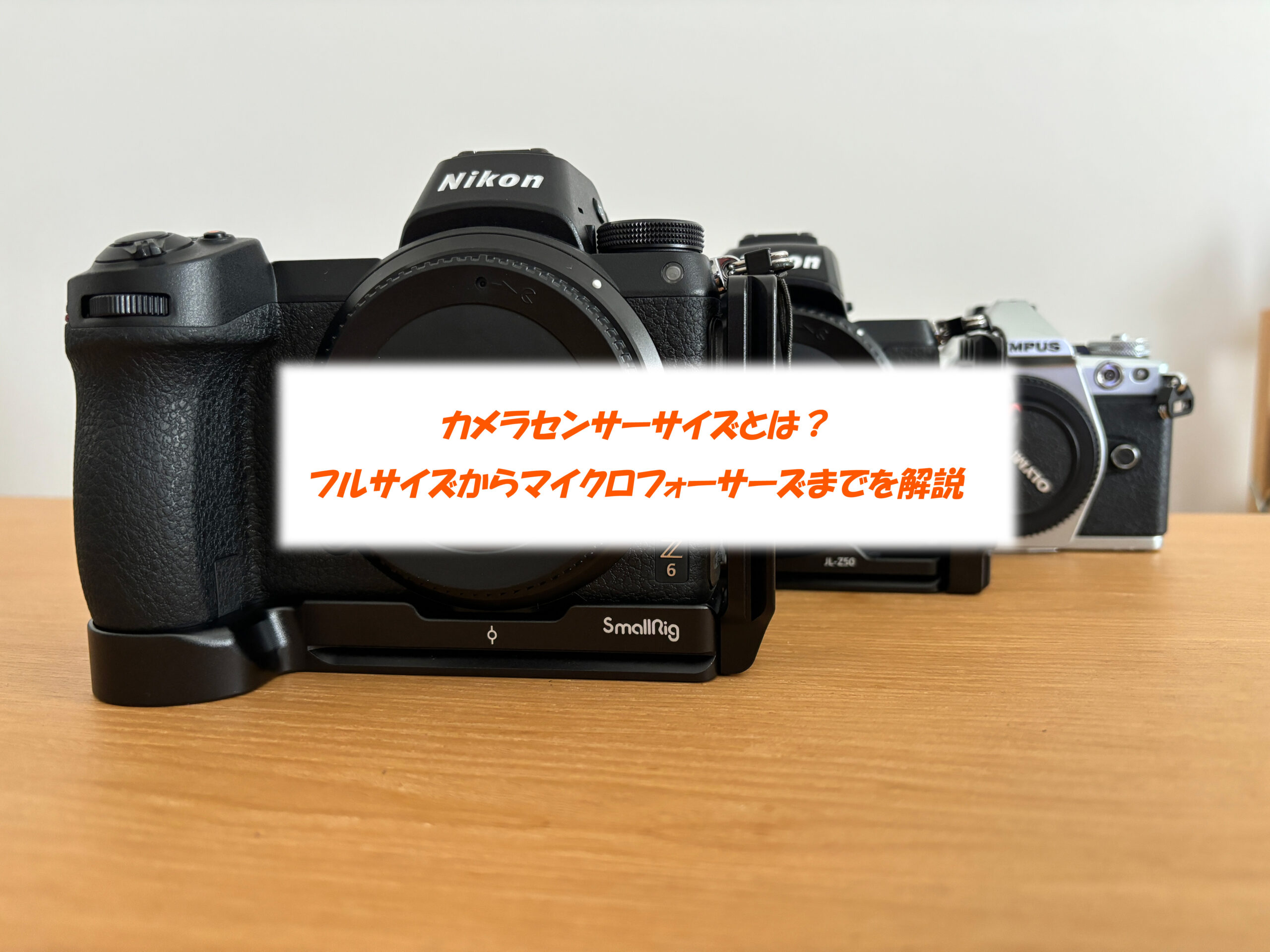 a7iii カメラ 本体 レンズ モニター リグ セット 一眼レフ （SONY ILCE 